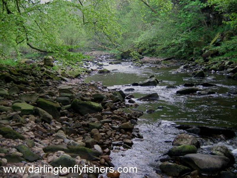 Mill Beat on the River Greta
