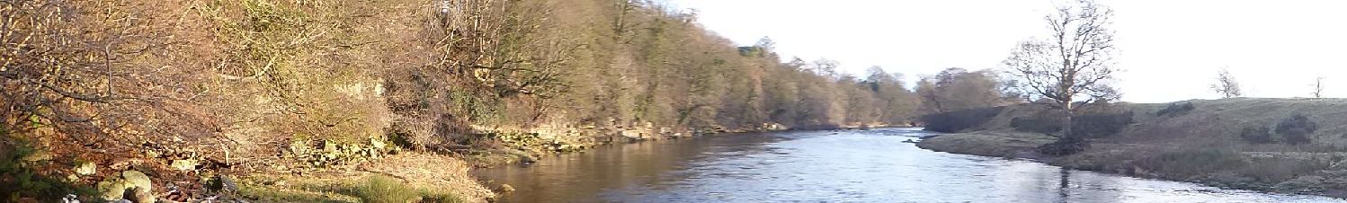 River Tees at the Meeting of the Waters