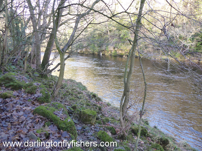 River Tees South beat