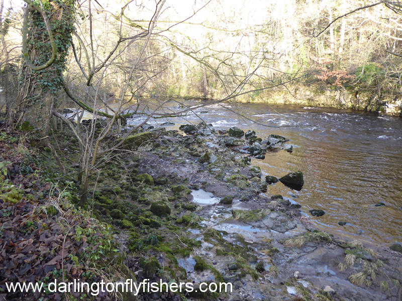 River Tees South beat