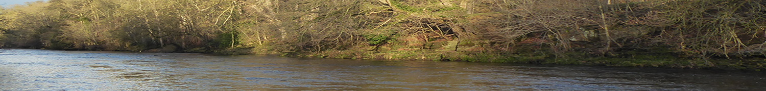 River Tees seen from the south bank